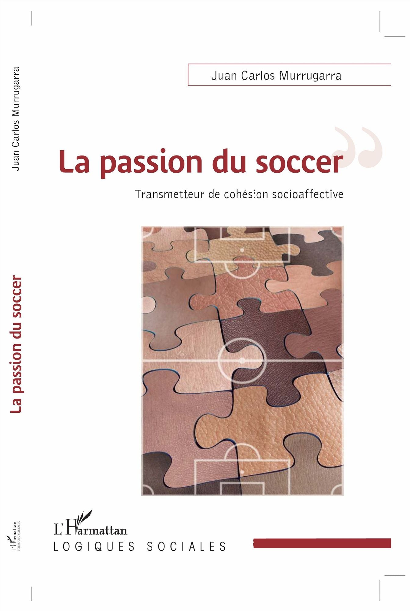 La passion du soccer: Transmetteur de cohésion socioaffective