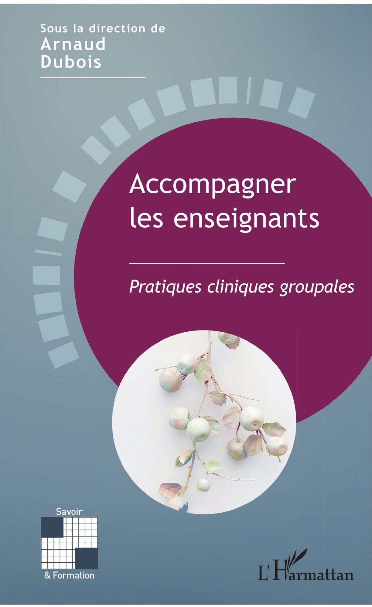 Accompagner les enseignants: Pratiques cliniques groupales