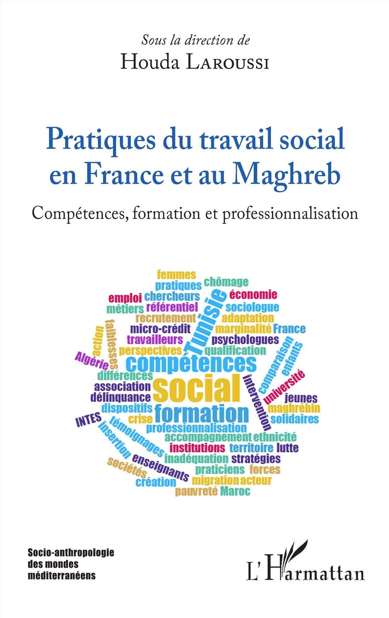 Pratiques du travail social en France et au Maghreb: Compétences, formation et professionnalisation