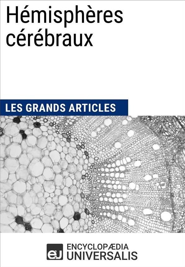 Hémisphères cérébraux: Les Grands Articles d'Universalis