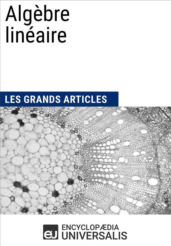 Algèbre linéaire (Les Grands Articles d'Universalis)