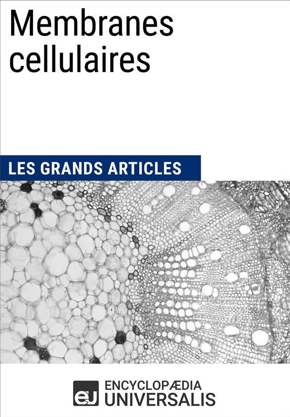 Membranes cellulaires: Les Grands Articles d'Universalis