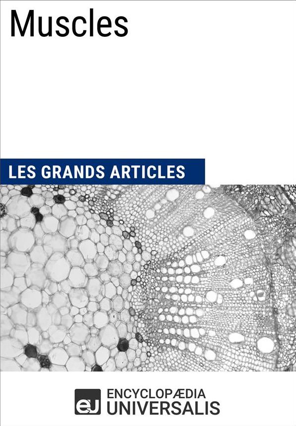 Muscles: Les Grands Articles d'Universalis