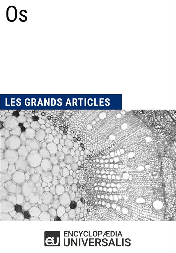 Os: Les Grands Articles d'Universalis