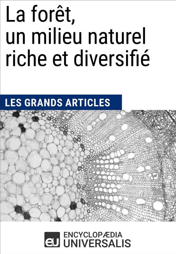 La forêt, un milieu naturel riche et diversifié: Les Grands Articles d'Universalis