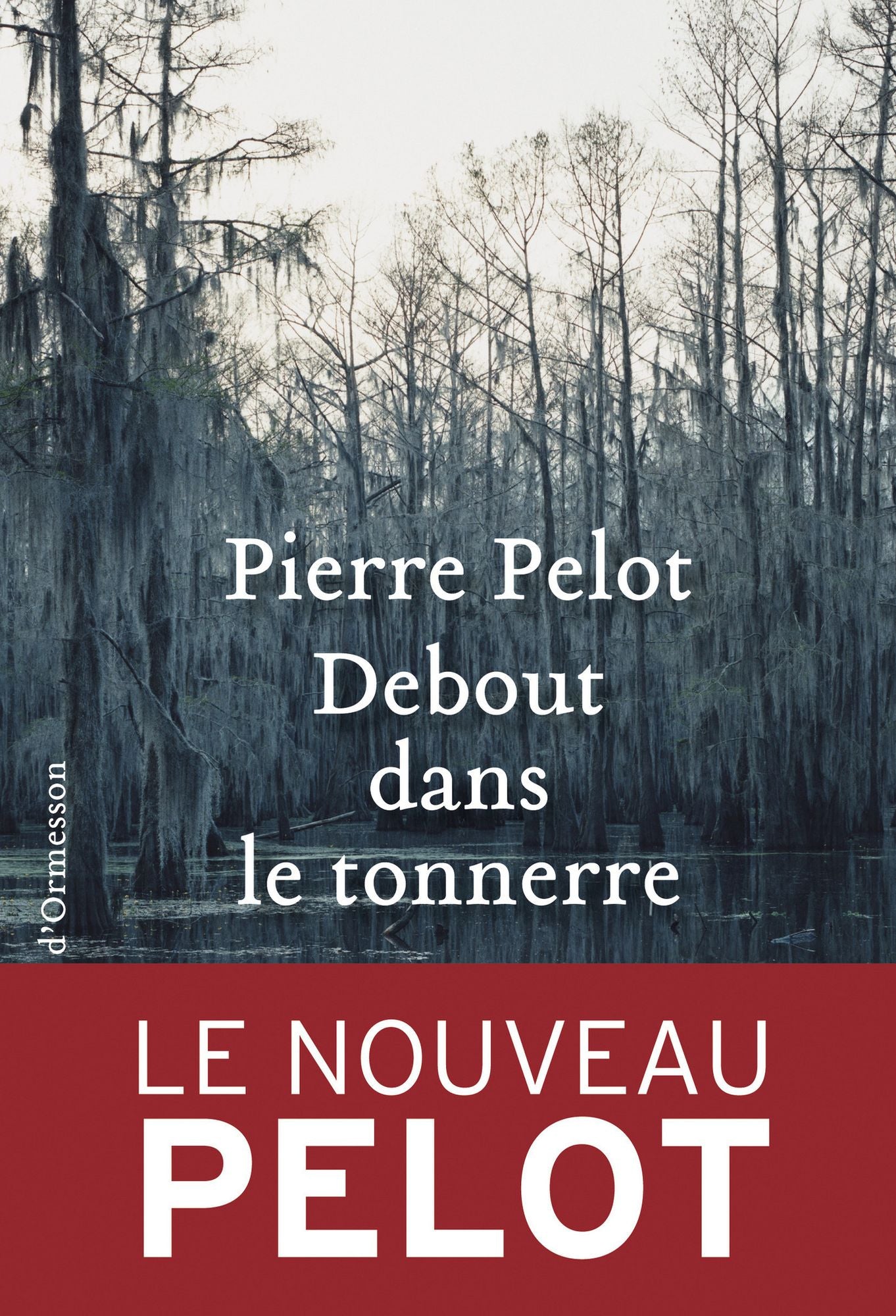 Débout dans le tonnerre