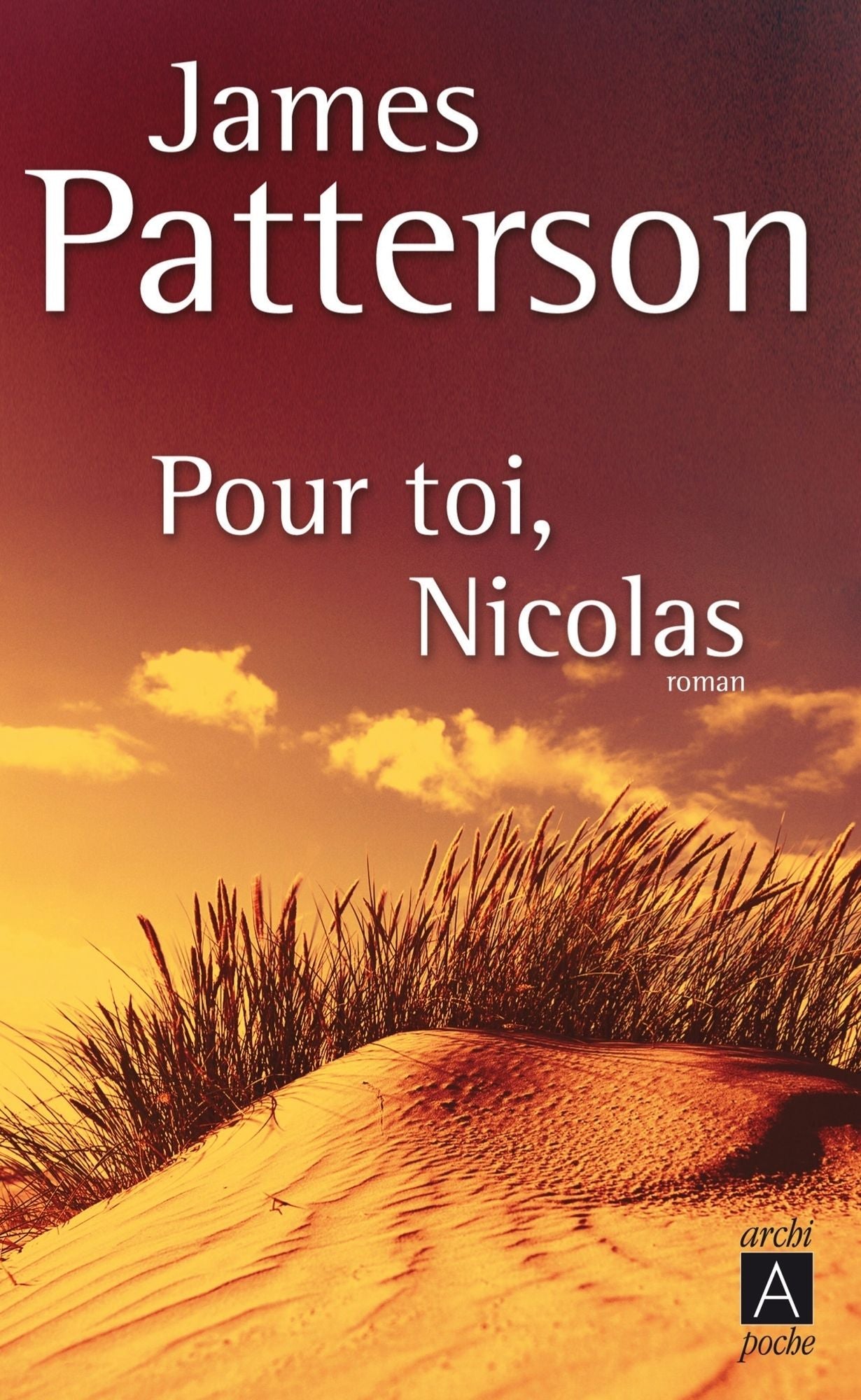 Pour toi, Nicolas (Suzanne's Diary for Nicholas)