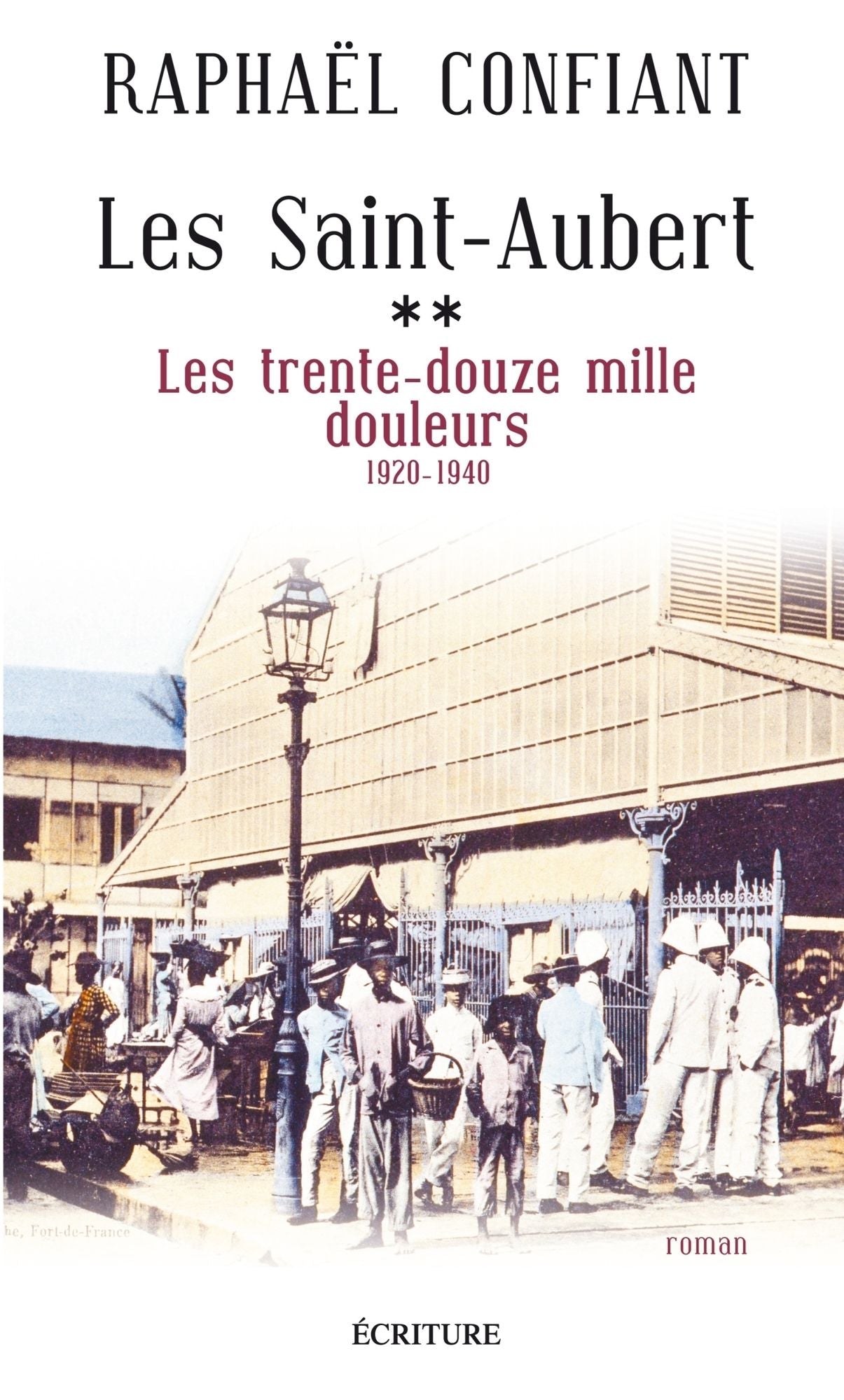 Les Saint-Aubert T2 : Les trente-douze mille douleurs: 1920-1940