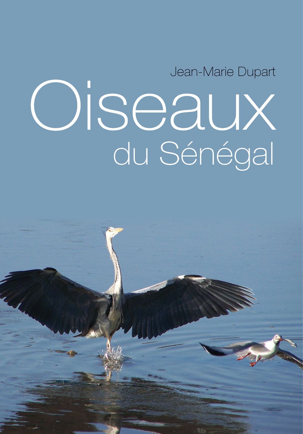 Oiseaux du Senegal