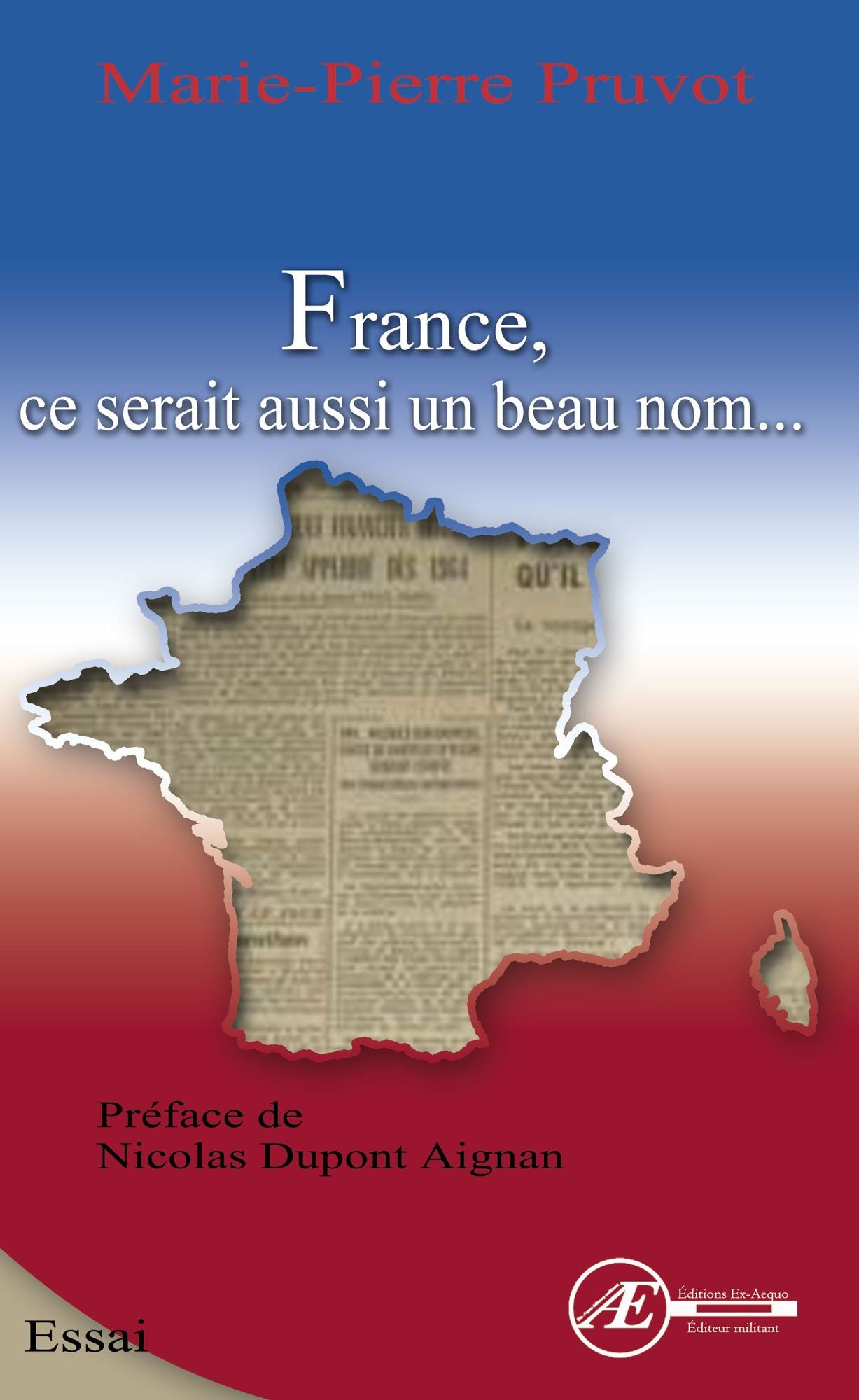France, ce serait aussi un beau nom: Essai