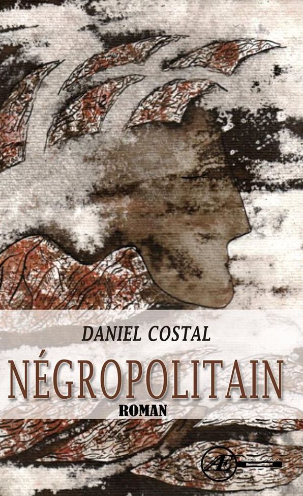 Négropolitain: Roman