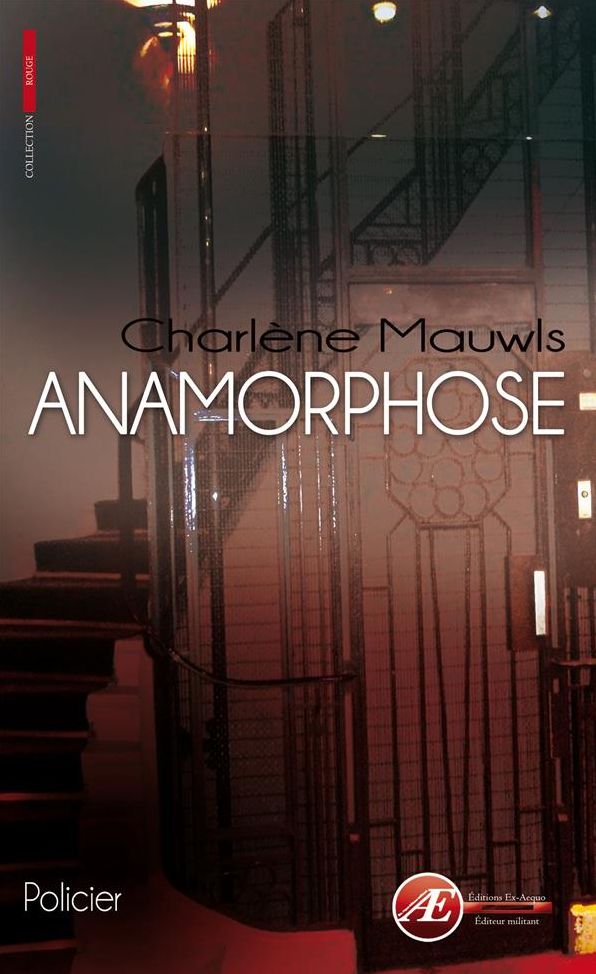 Anamorphose: Nouvelle policière