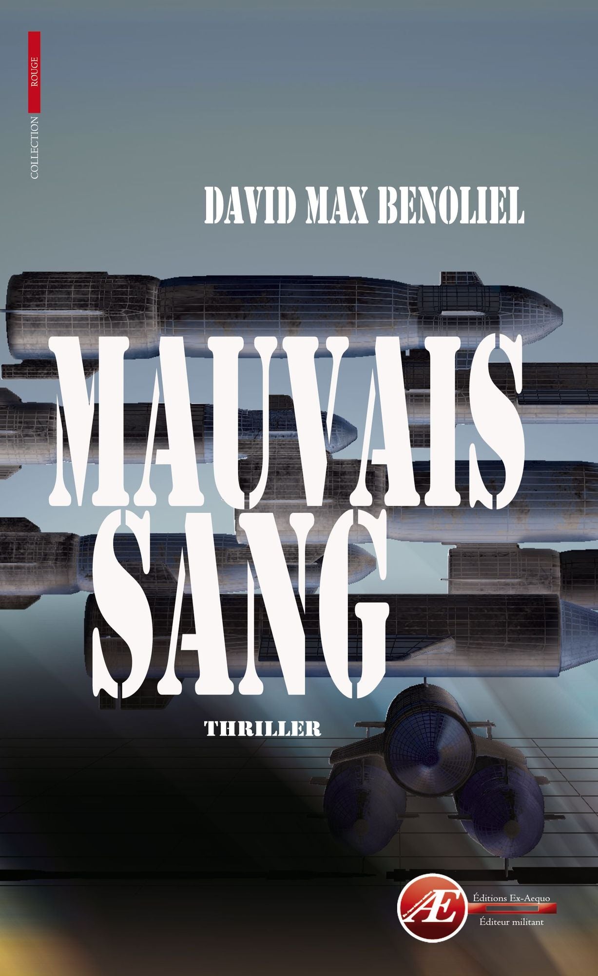 Mauvais sang: Thriller