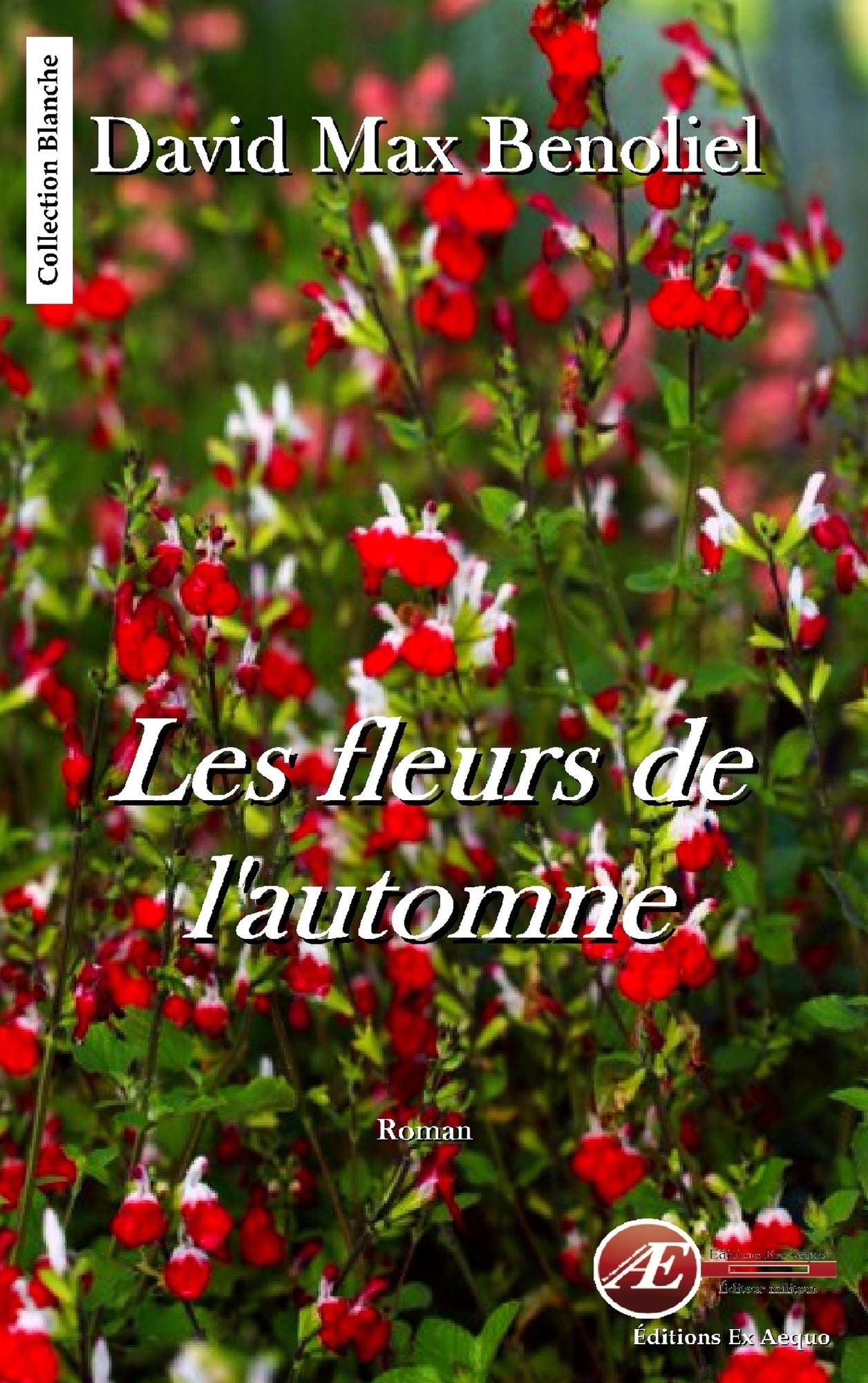 Les fleurs de l'automne: Roman sentimental