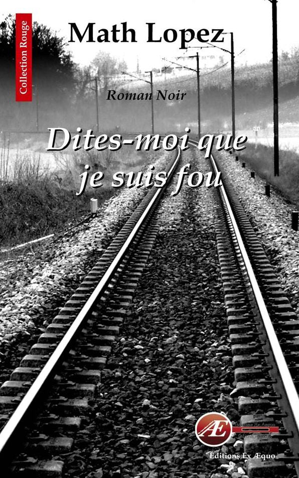 Dites-moi que je suis fou: Roman noir