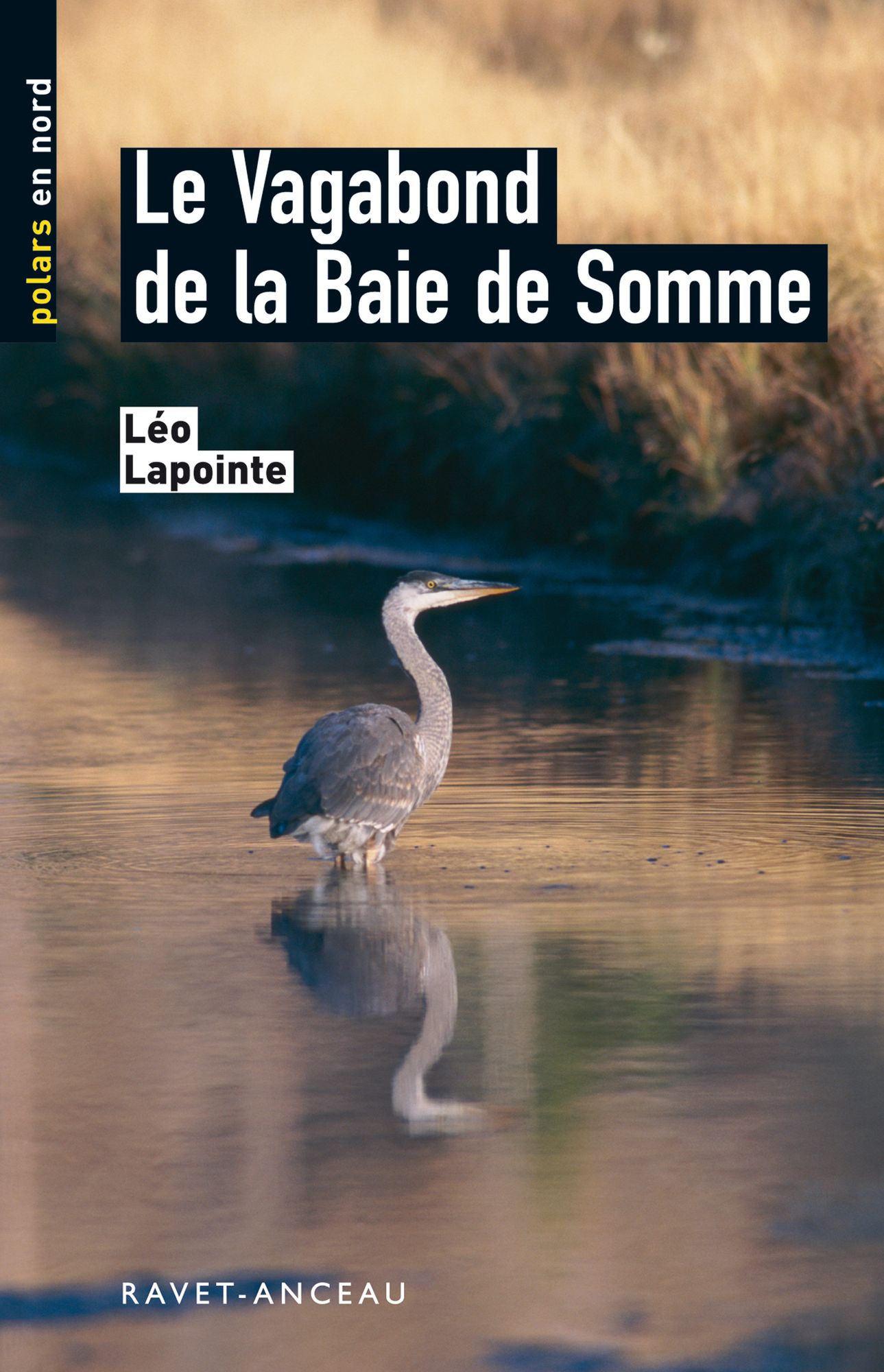 Le vagabond de la Baie de Somme: Une affaire qui cache bien des secrets