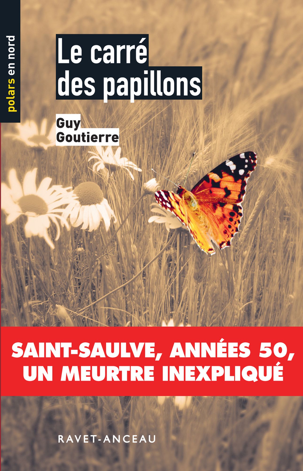 Le carré des papillons: Saint-Saulve, années 50, un meurtre inexpliqué