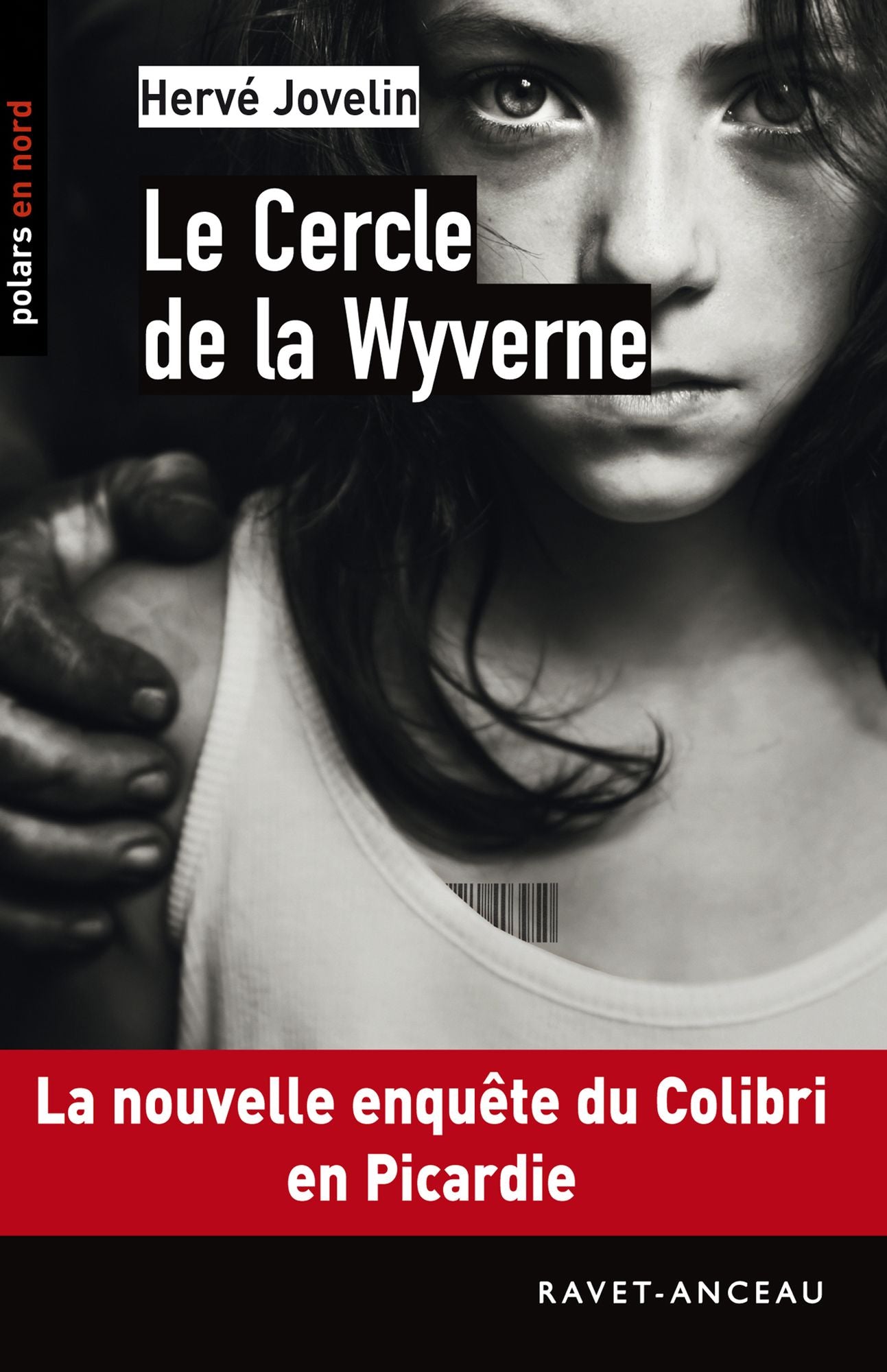 Le Cercle de la Wyverne: La nouvelle enquête du Colibri en Picardie