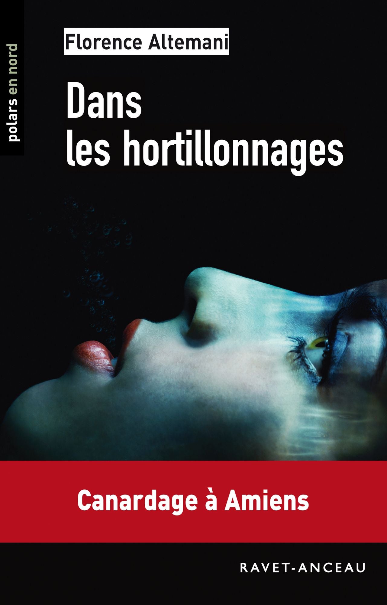 Dans les hortillonnages: Canardage à Amiens