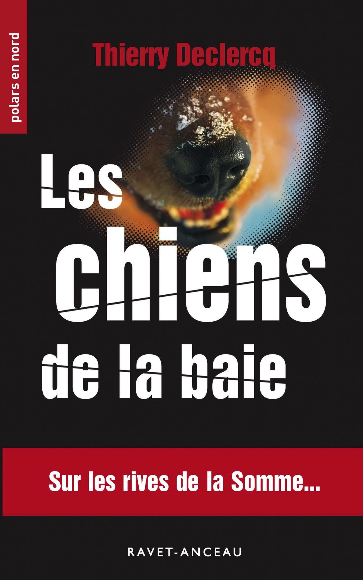 Les chiens de la baie: Sur les rives de la Somme...