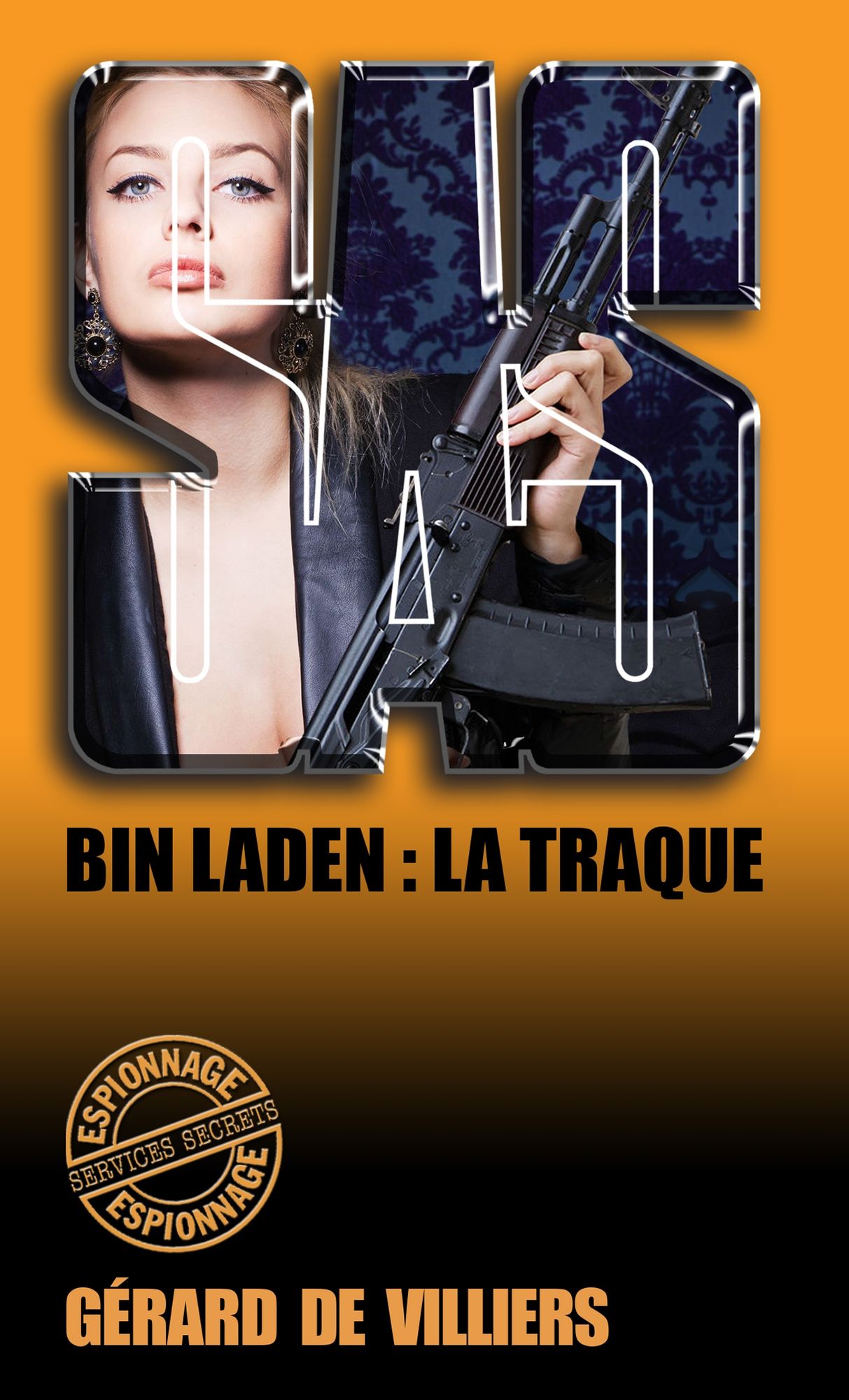 SAS 148 Bin Laden : la traque