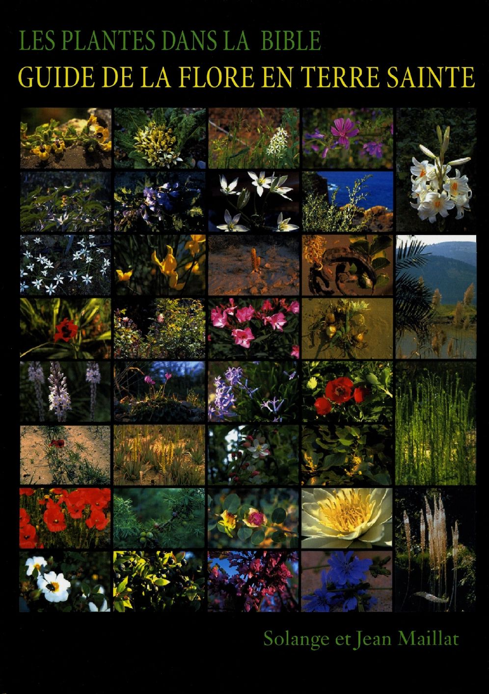 Les plantes dans la Bible: Guide de la flore en Terre Sainte