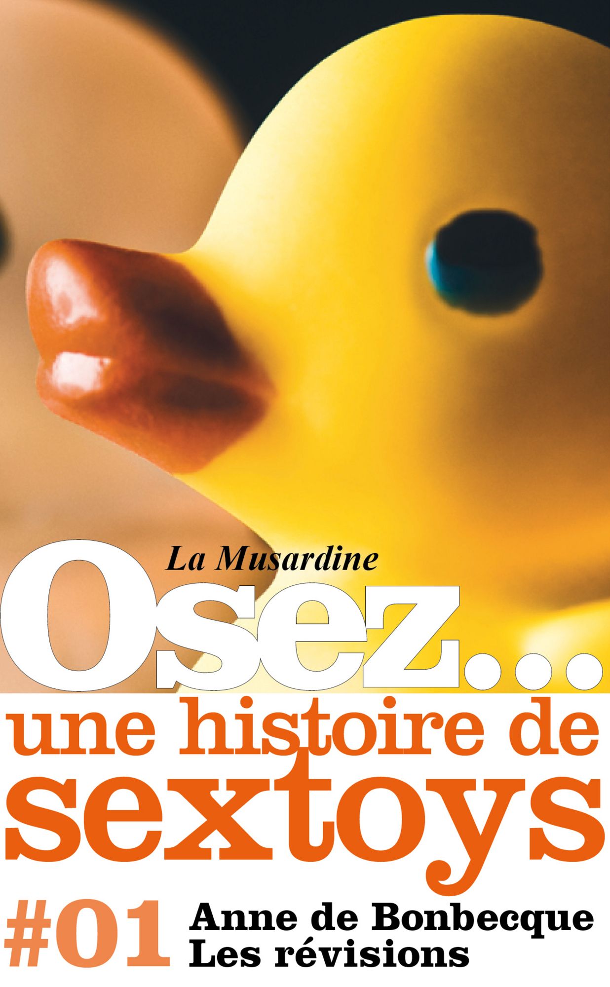 Osez une histoire de sextoys : Les révisions