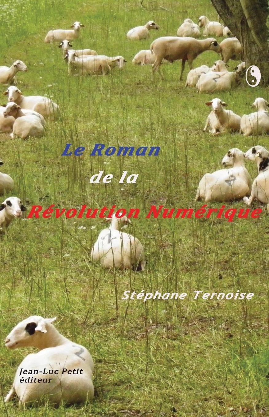 Le roman de la r volution num rique: Hors Goncourt 2013