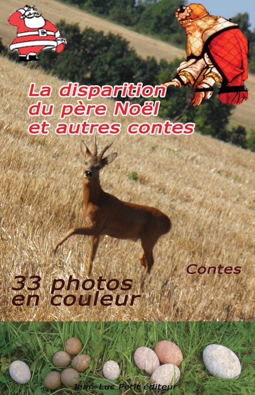 La disparition du p??re No??l et autres contes