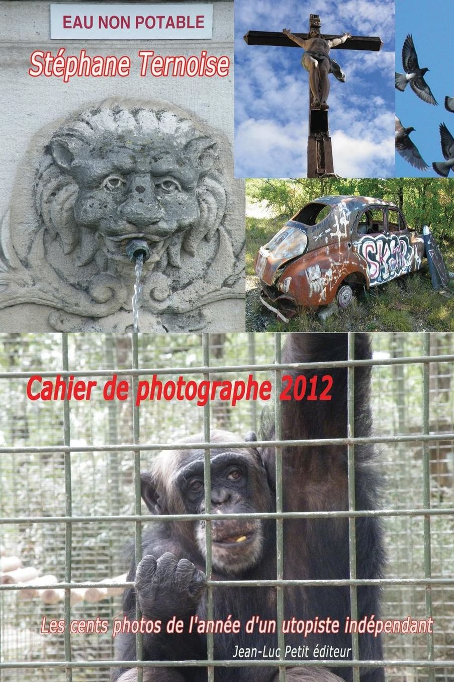 Cahier de photographe 2012: Les cents photos de l'ann e d'un utopiste ind pendant
