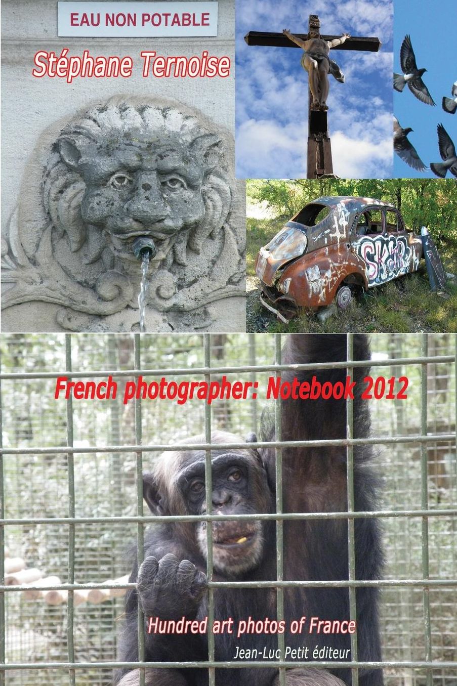 French photographer: Notebook 2012: Hundred art photos of France