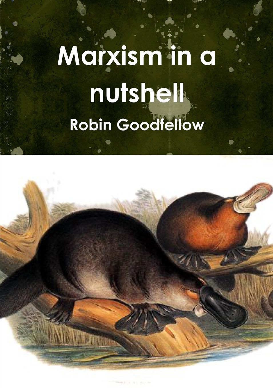 Marxism in a nutshell