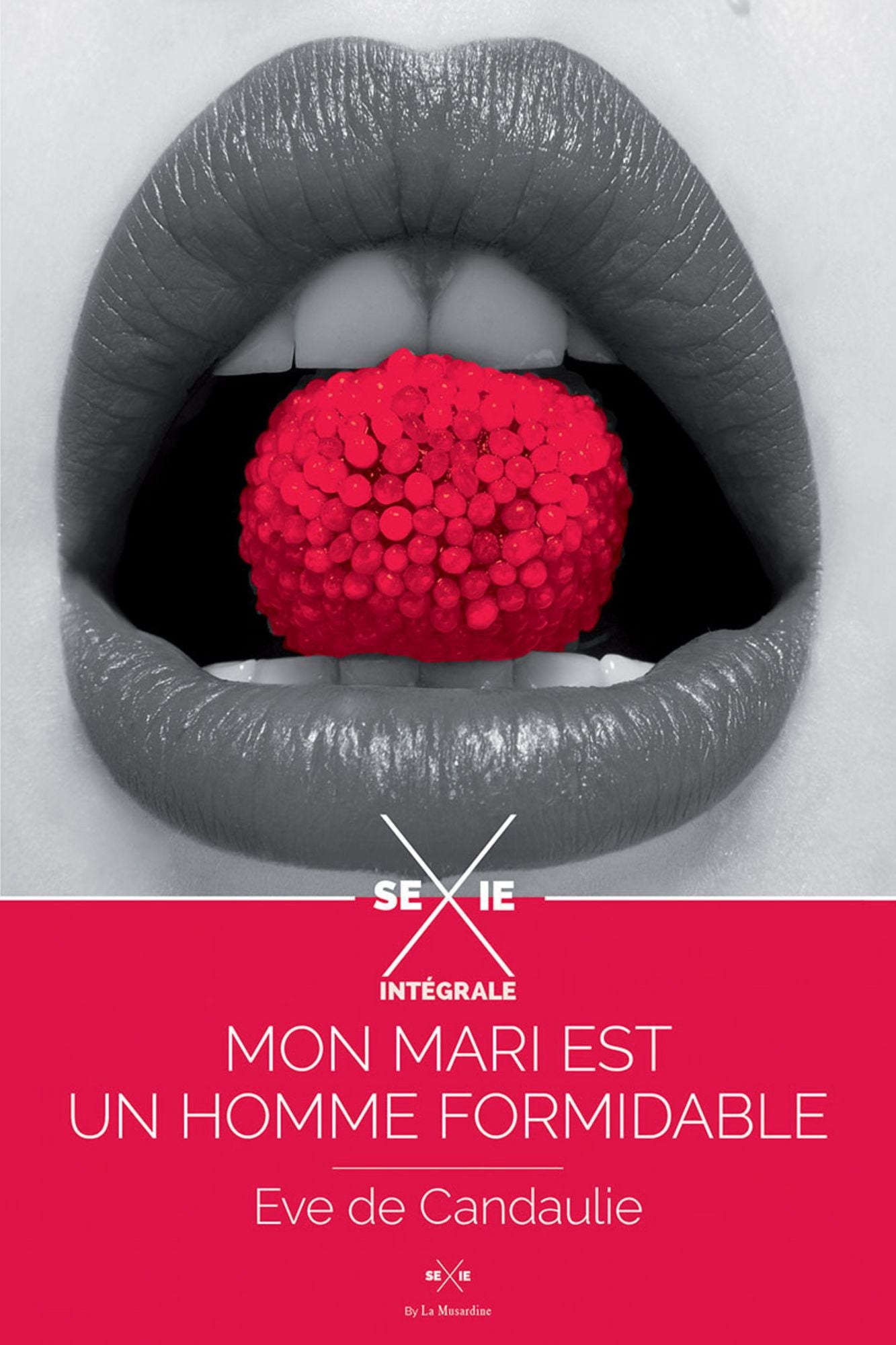Mon mari est un homme formidable - Intégrale
