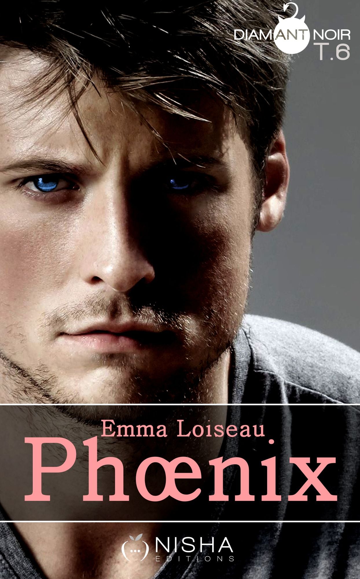 Phoenix - tome 6