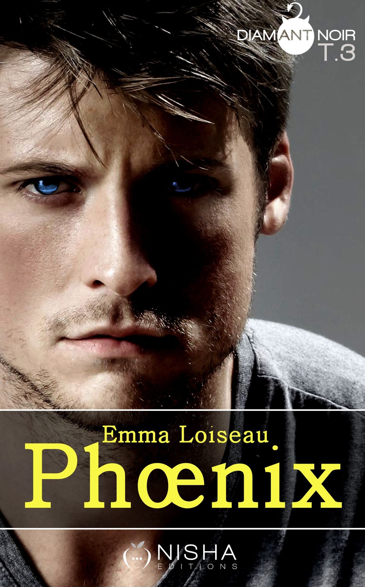 Phoenix - tome 3