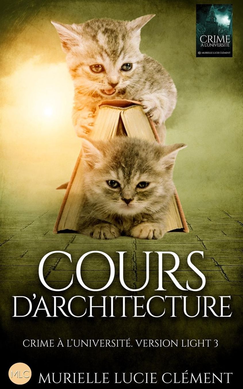 Cours d'architecture: Crime agrave; l'universiteacute;. Version light 3