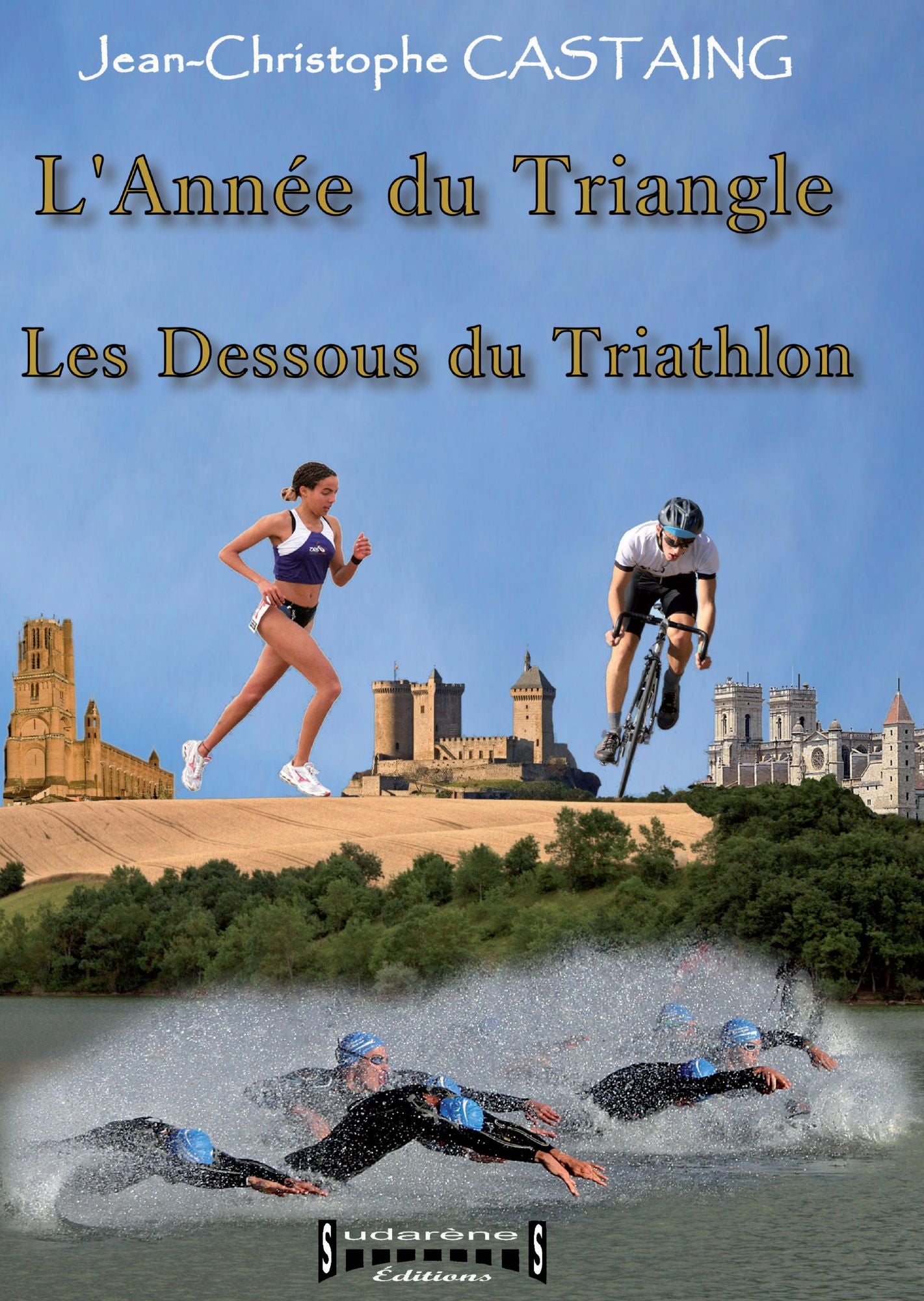 L'Année du Triangle: Les Dessous du Triathlon