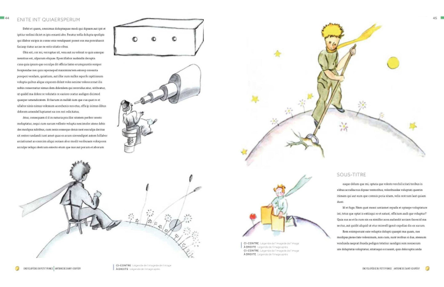 The Little Prince: A Visual Dictionary