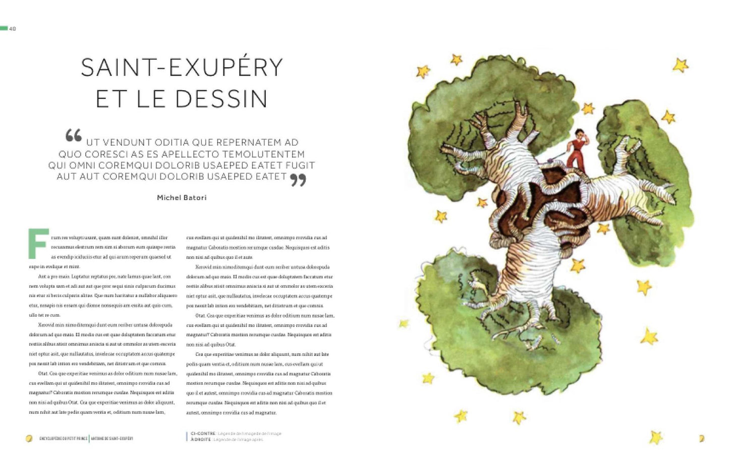 The Little Prince: A Visual Dictionary