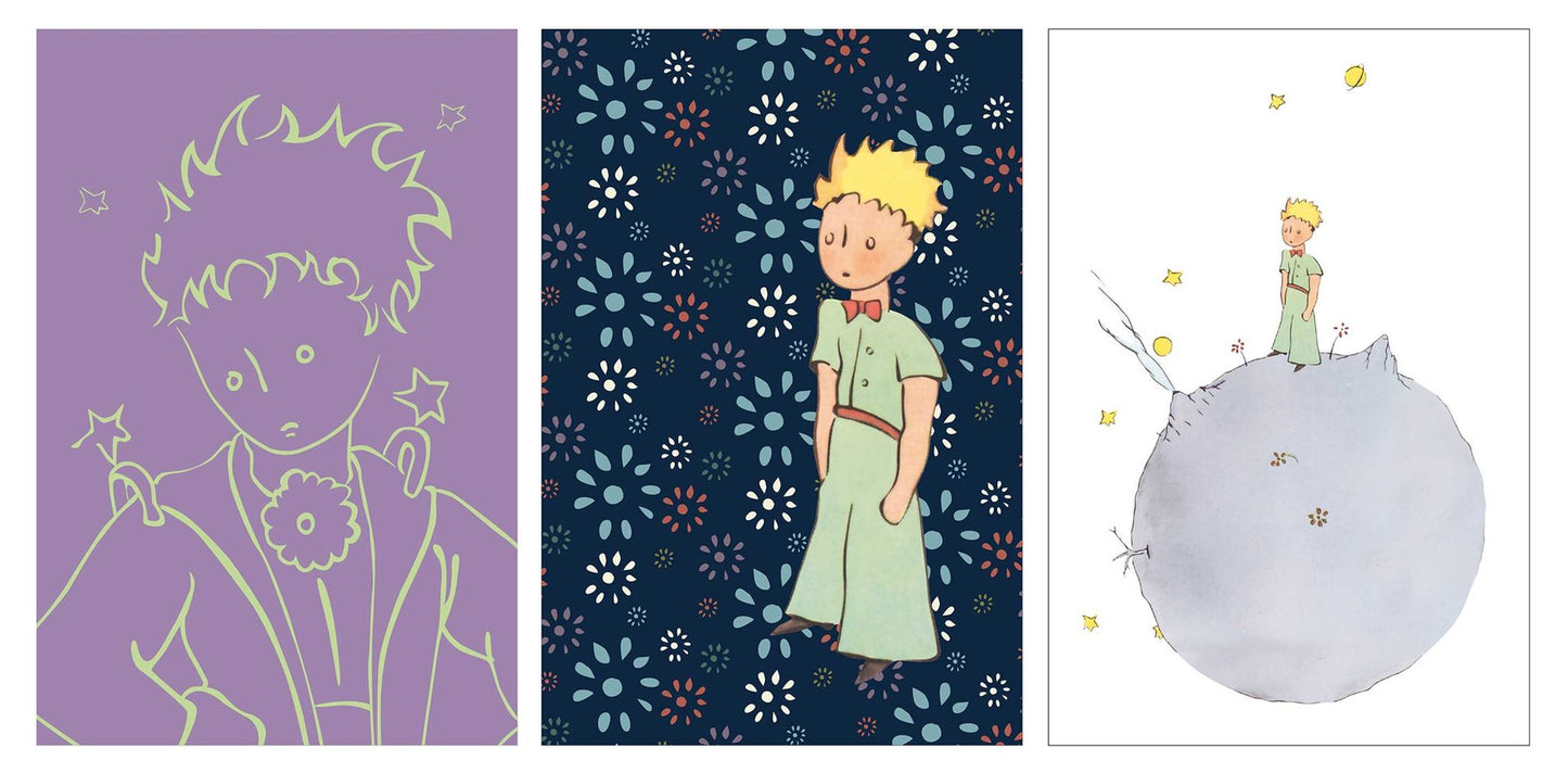 The Little Prince: A portfolio: 24 plates
