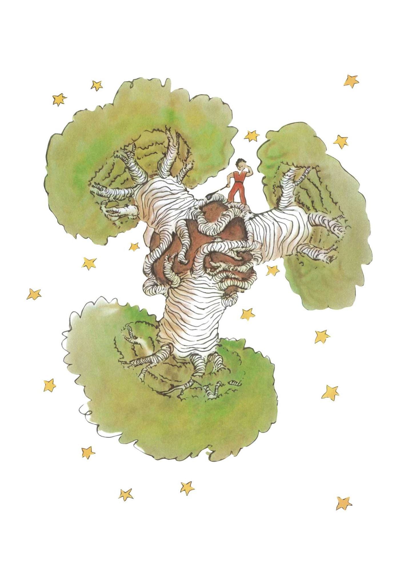 The Little Prince: A portfolio: 24 plates
