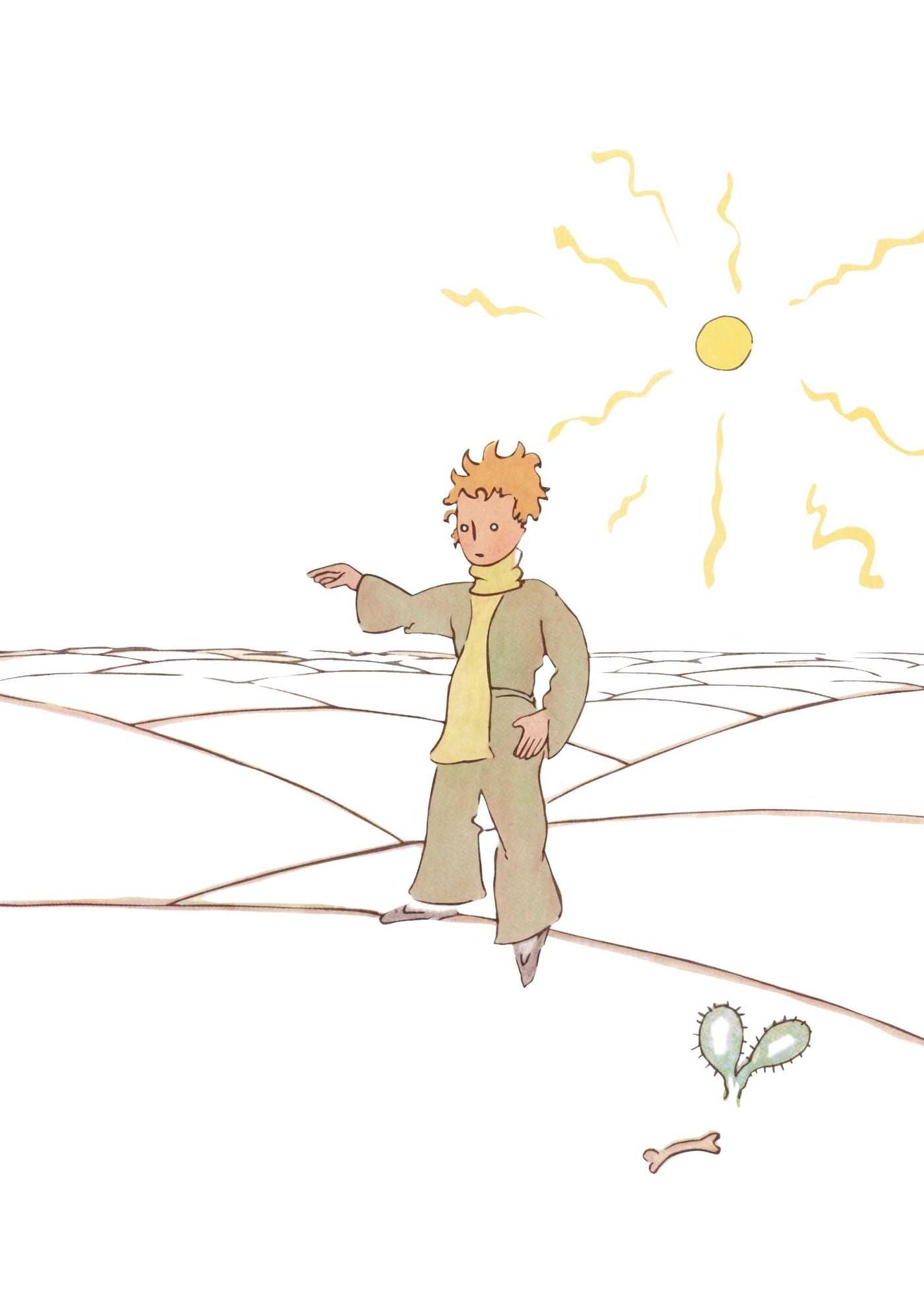 The Little Prince: A portfolio: 24 plates