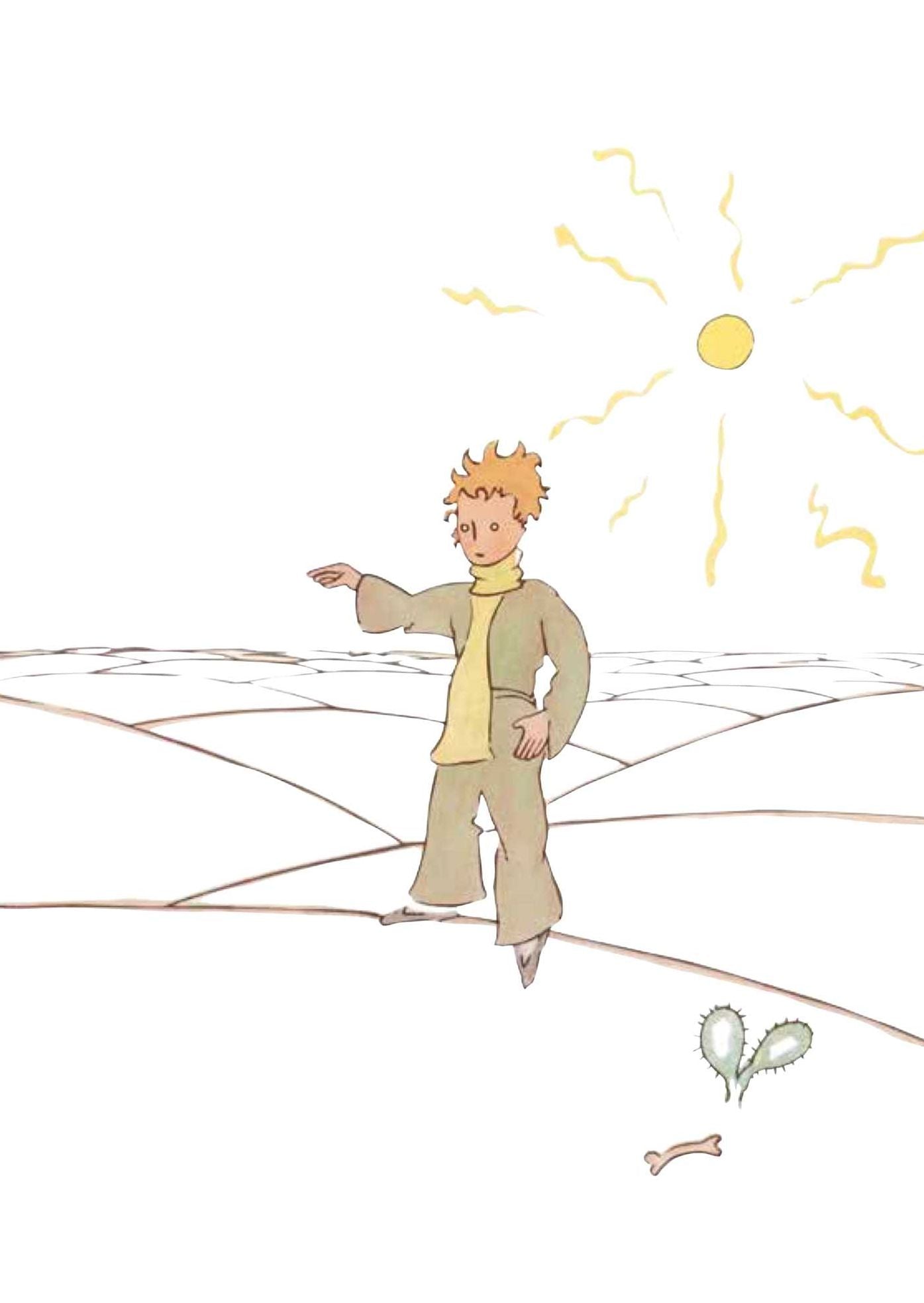 The Little Prince: A portfolio: 24 plates