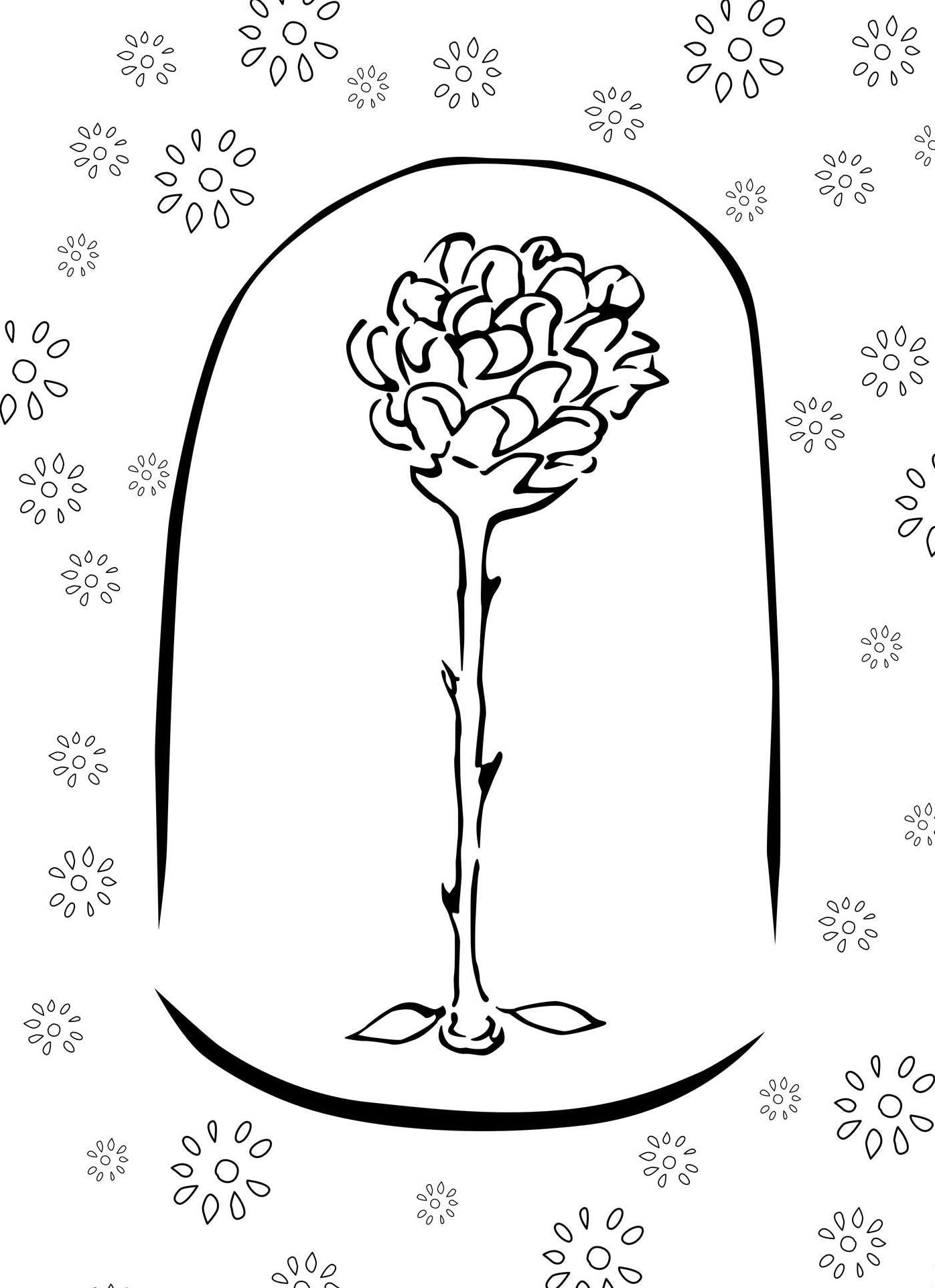 The Little Prince: The Coloring Portfolio