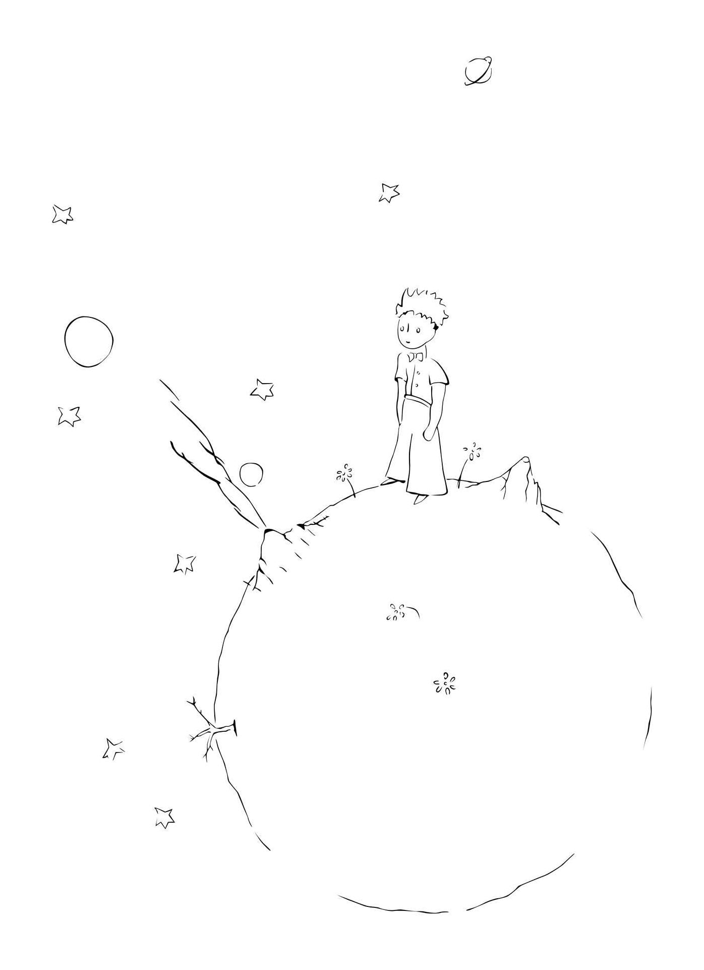 The Little Prince: The Coloring Portfolio