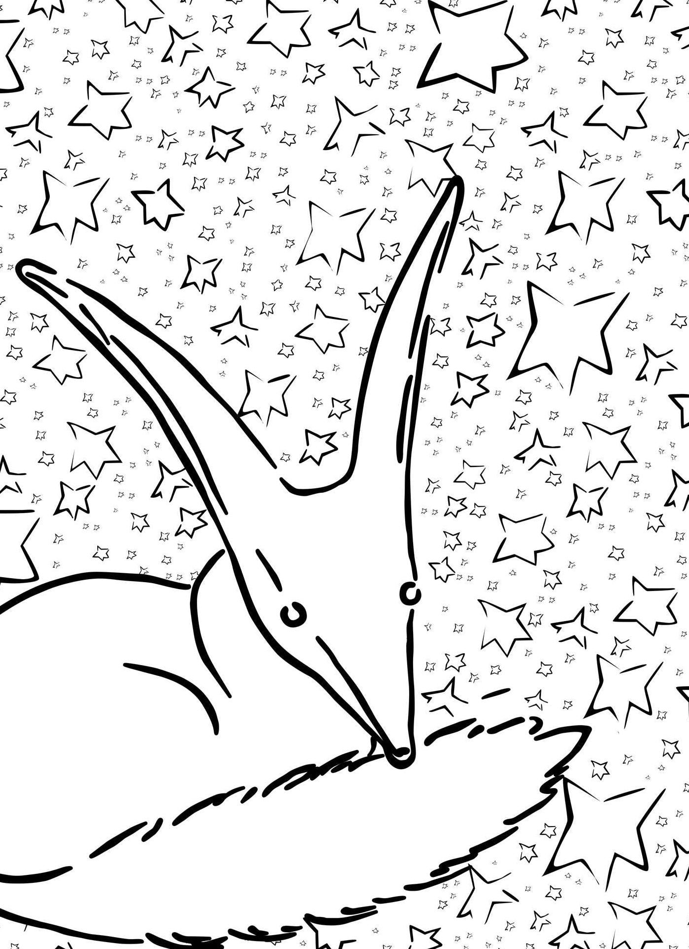 The Little Prince: The Coloring Portfolio