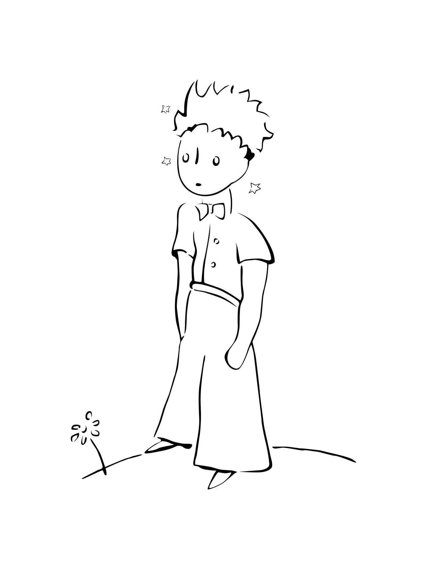 The Little Prince: The Coloring Portfolio