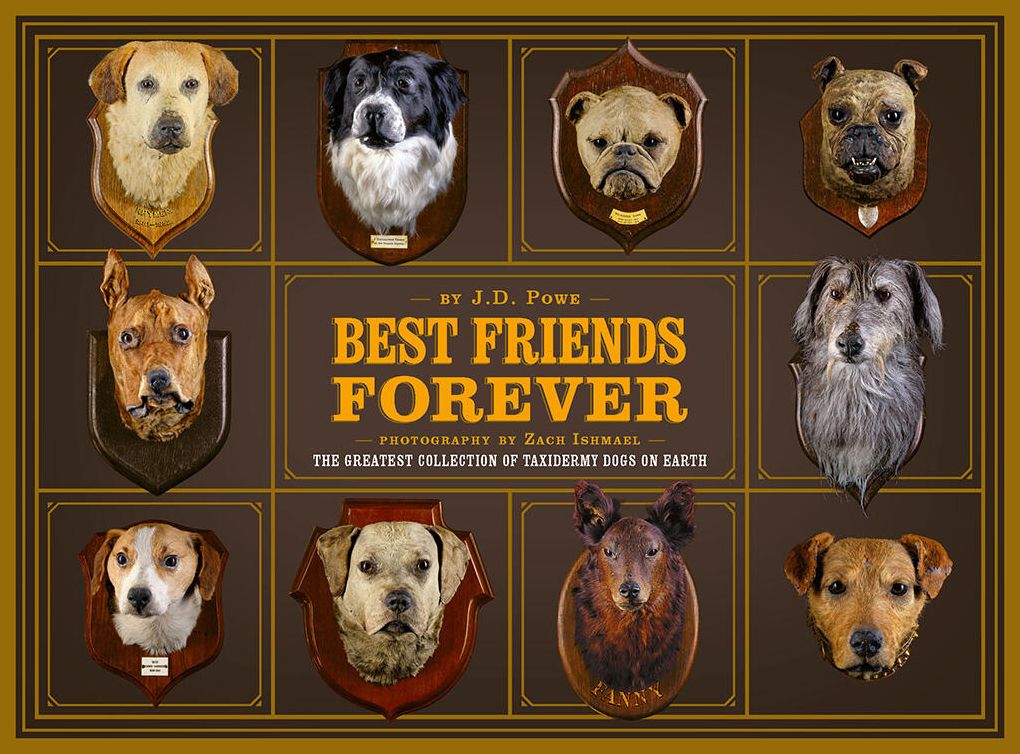 Best Friend Forever