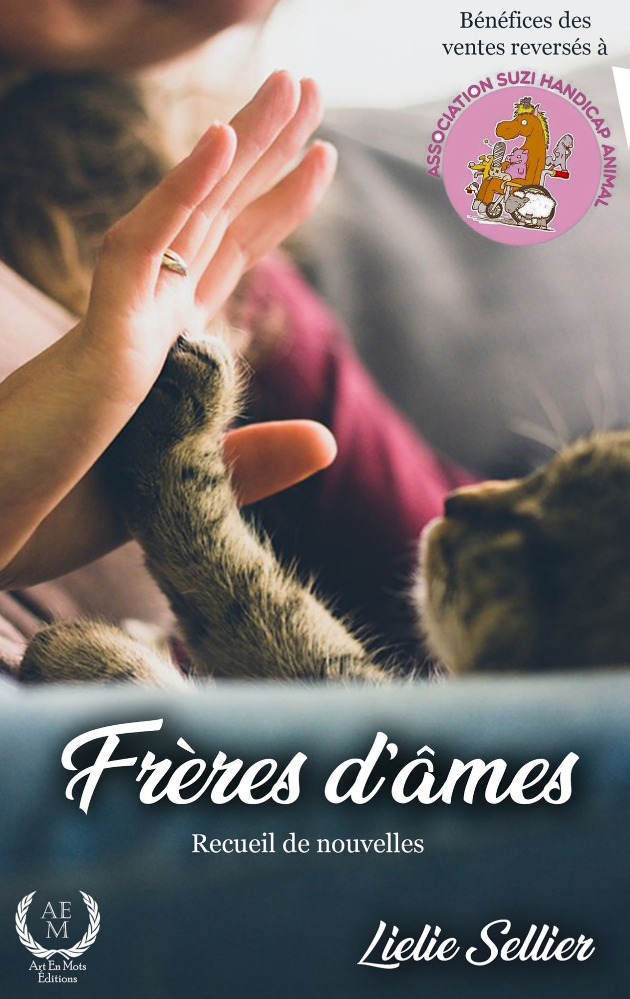 Frères d'âmes: Recueil de nouvelles