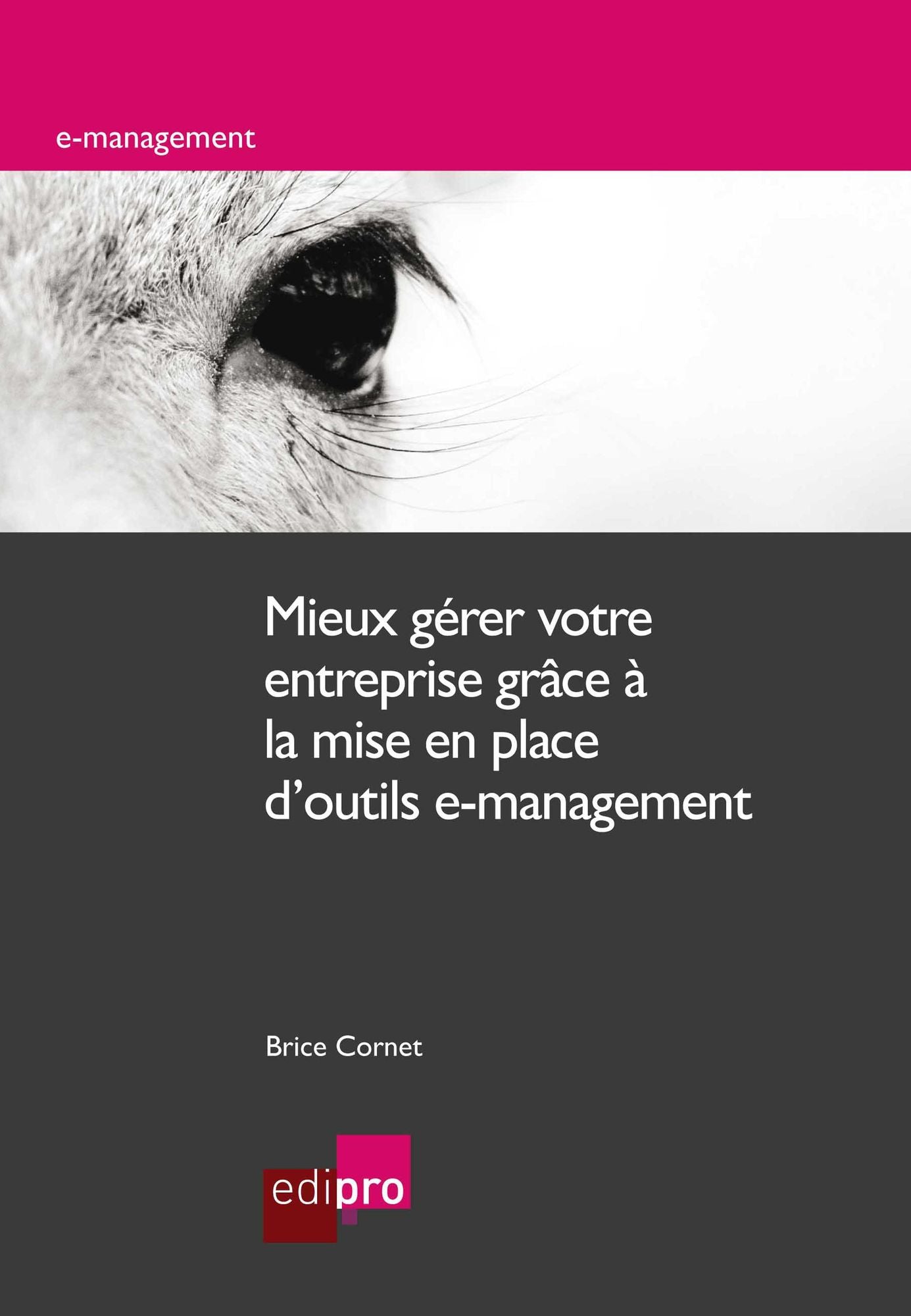 Mieux gérer votre entreprise grâce à la mise en place d'outils e-management: Les nouvelles technologies au coeur de l'entreprise
